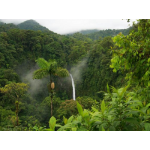Коста- Рика для любителей природы 2022